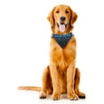 thumbnail image 4 of Carolina Panthers Dog Bandanna Size S, 4 of 5