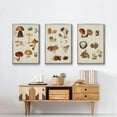 thumbnail image 6 of Mushroom Species I - Framed Premium Gallery Wrapped Canvas L Frame 3 Piece Set - Ready to Hang, 6 of 9