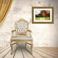 thumbnail image 3 of Hausenflock, Alan 18x13 Gold Ornate Wood Framed with Double Matting Museum Art Print Titled - Hopkins Farm, 3 of 4