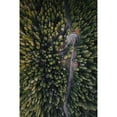 thumbnail image 3 of Beata, Angyalosi 13x18 Black Modern Framed Museum Art Print Titled - Forest Vibes, 3 of 5