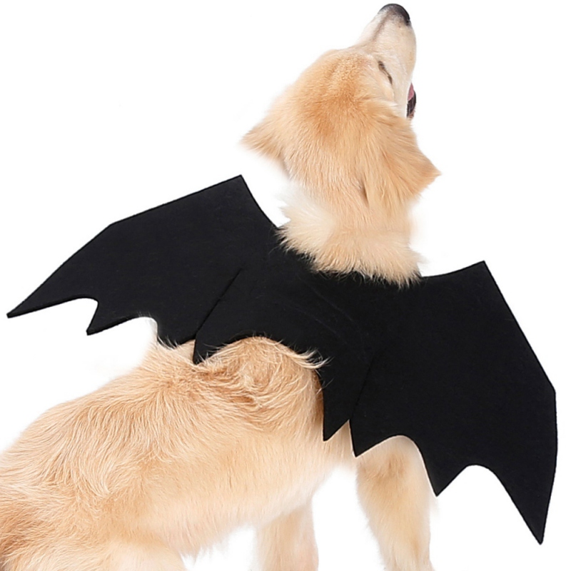 devil dog costume target