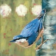 thumbnail image 2 of Reeves, Molly 20x20 Black Ornate Wood Framed with Double Matting Museum Art Print Titled - Life Nuthatch, 2 of 4