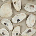 thumbnail image 4 of DecMode Cream Shell Handmade Abstract Shell Wall Decor with Beige Linen Backing and Black Frame, 4 of 10