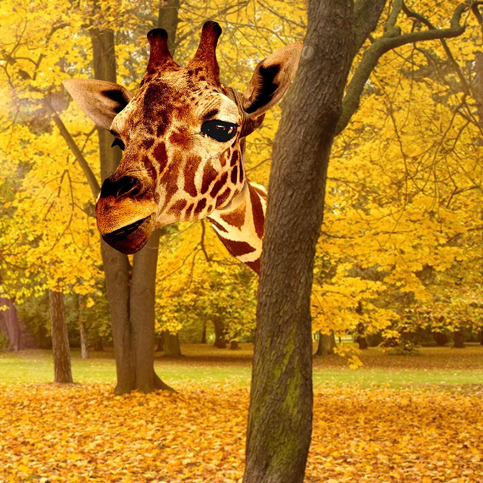 Raz Animal Head Wall Decor - Giraffe main image 1