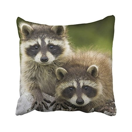 WinHome Decorative Pretty Raccoon Gift Throw Soft Pillowcases Decorative Best Birthday Gift Pillowcase Art Design Pillow Cover Pattern Personalized Custom Pillowcases Size 18x18