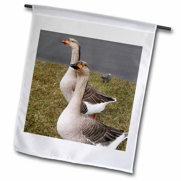 3dRose, African Geese, 18 x 27 inch Garden Flag