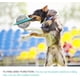 thumbnail image 3 of Slow Food IQ Therapy Ball, Cat Snack Ball Food Ball, Juguete interactivo Educativo IQ Training Ball Juguete educativo Dog Sport Game Xemadio WL-00334, 3 of 7