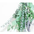 thumbnail image 5 of Preserved Fake Plant Dried Eucalyptus, Hanging Eucalyptus for Bathroom, Eucalyptus Bundle for Vase Filled, Dry Eucalyptus with Lavender Plants for Wedding Holiday Home Decoration, 5 of 5