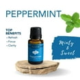 thumbnail image 3 of Airome Peppermint 15ml Essential Oil, Cool and Minty Scent, 3 of 6