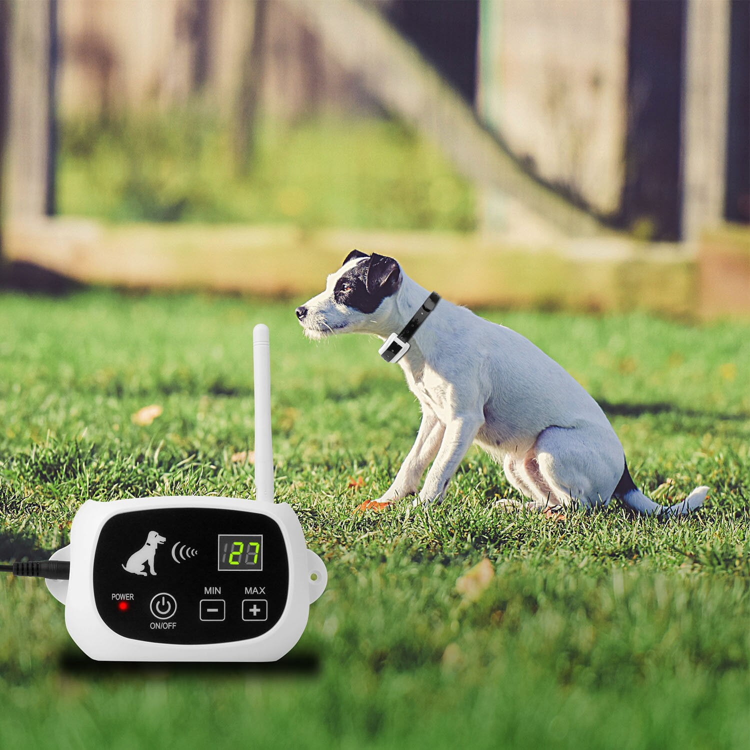 Wireless Dog Fence