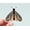 1pcs, variant on Celestial Moth Moon Witchy Crystals Sticker