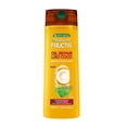 thumbnail image 1 of Shampoo Garnier Fructis Liso Coco 350ml, 1 of 4