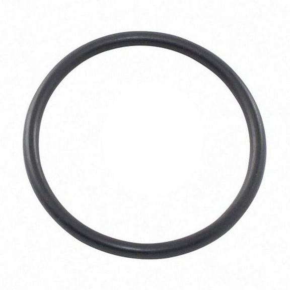 Aladdin O-125 O-Ring Drain Plug