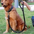 thumbnail image 4 of Juego de correas para collar de piel para mascotas, cuerda gruesa para perros que caminan, collar de PU, accesorios para mascotas con correa, correas para perros grandes, 4 of 4