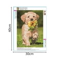 thumbnail image 2 of 5D León perro mariposa resina diamante pintura Animal taladro bordado costura DIY decoración interior punto de cruz Scienceny JJ13348-02, 2 of 6