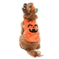 thumbnail image 3 of Vibrant Life Halloween Dog Costume and Cat Costume: Jack-O-Lantern, Size Medium, 3 of 7