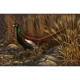 thumbnail image 2 of Goebel, Wilhelm 32x22 Gold Ornate Wood Framed with Double Matting Museum Art Print Titled - Bianchi Pheasant, 2 of 4