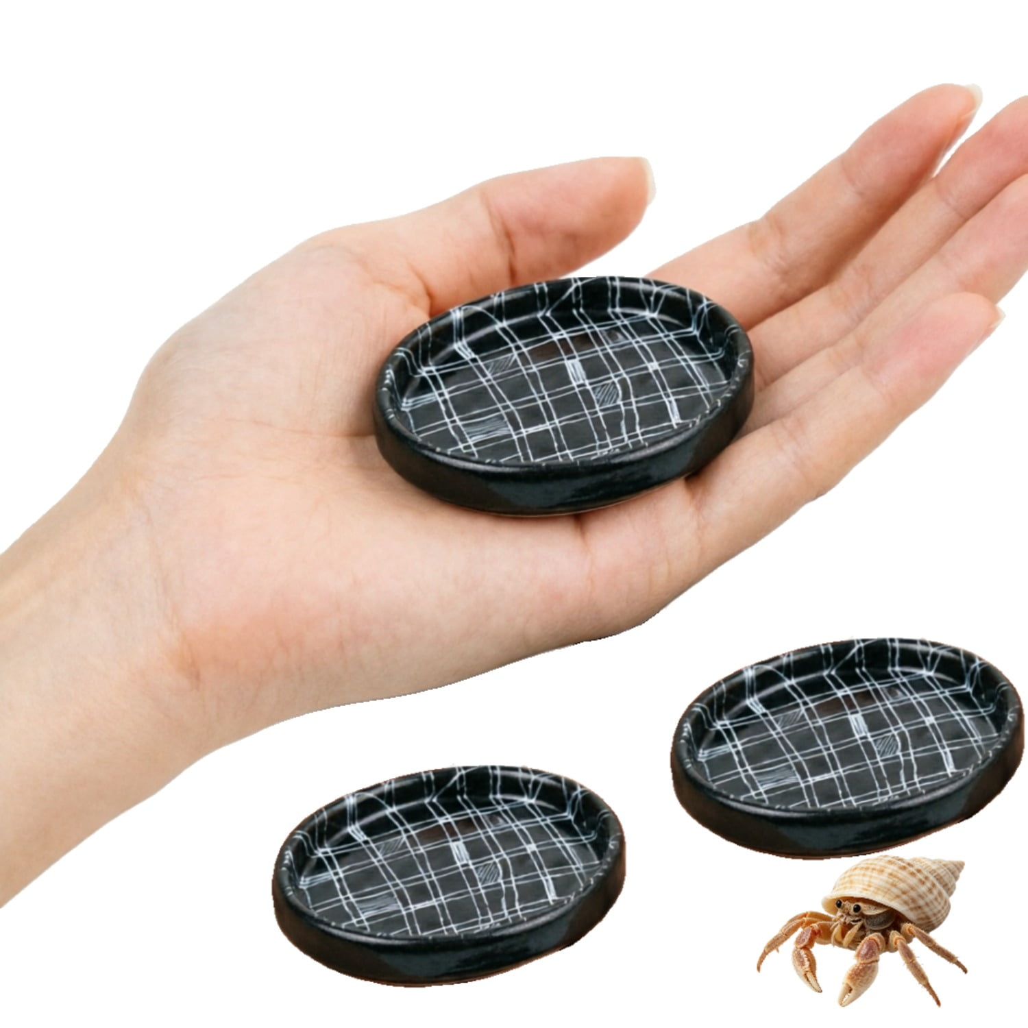 Hermit Crab Dish Feeding Bowl Checkered Print for Small Reptile Accessories 3pcs