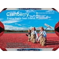 thumbnail image 3 of Ocean Spray Cran-Lemonade Juice, 10 Fl. Oz., 6 Count, 3 of 7