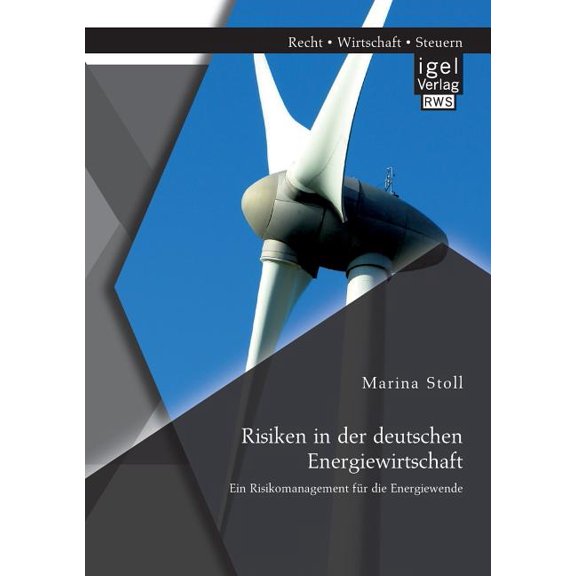 Risiken in der deutschen Energiewirtschaft. Ein Risikomanagement für die Energiewende (Paperback)