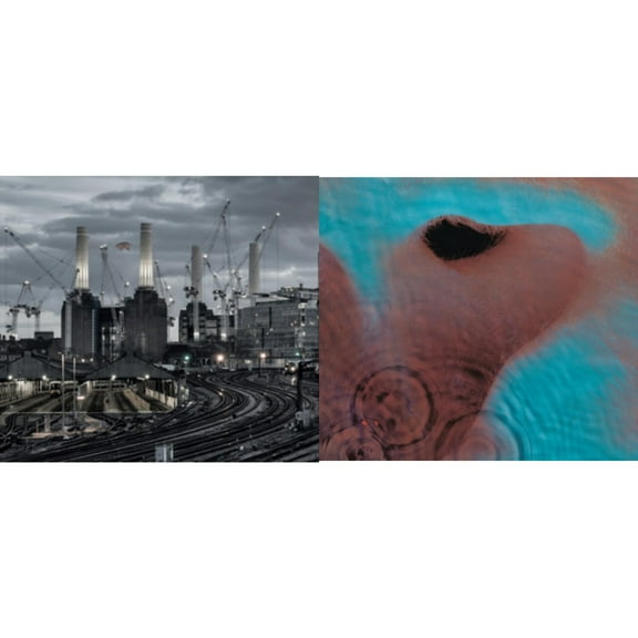 Animals (2018 Remix) (180G) & Meddle (180G/Gatefold/2016 Version) [LP Vinyl Bundle]