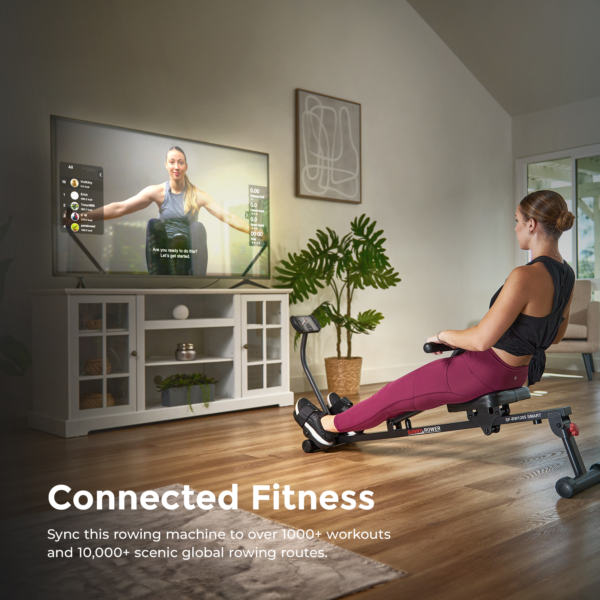 Sunny Health & Fitness Compact Hydraulic Rower With Bluetooth photo 3