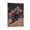 Frame-style, variant on Jamal Murray Canvas Poster Wall Art Poster Scroll Canvas Painting Picture Living Room Decor Home 16x24inch(40x60cm)