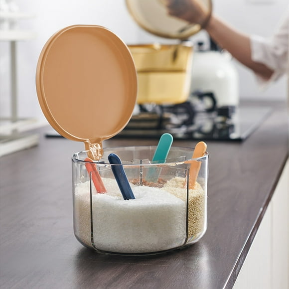 Xuniizn Sealed Spice Jar With Spoon Combination Four Compartments Monosodium Glutamate Jar, Household Multi-compartment With Lid Storage Seasoning Jar