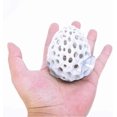 thumbnail image 3 of Shrimp Dome Hide, Dome Fish or Shrimp Aquarium Hide, Aquarium Reef Decor Viewing Dome, Shrimp Easy To Place, W Hide, 3 of 5