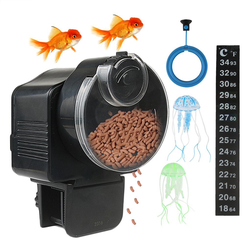 fish tank timer feeder