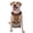 With Accessories, variant on Vsdgher Broccoli Pattern Dog Harness,No Pull Pet Harness with Soft Padded Handle,Adjustable Reflective Vest with 2 Buckles,4 Slide Buckles,S-XL Medium