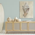 thumbnail image 3 of Stupell Industries Coastal Tan Toned Conch Shell Canvas Art, 36 x 48, by Michael Willett, 3 of 7