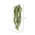 thumbnail image 3 of Vickerman 34" Artificial Green Lemon Beauty Leaf Vine x 81, 3 of 3