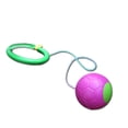 thumbnail image 2 of Jumping Ball, Cute Durable Interesting Bouncy Ball Interactive Safe  for Backyards for Kids, 2 of 8