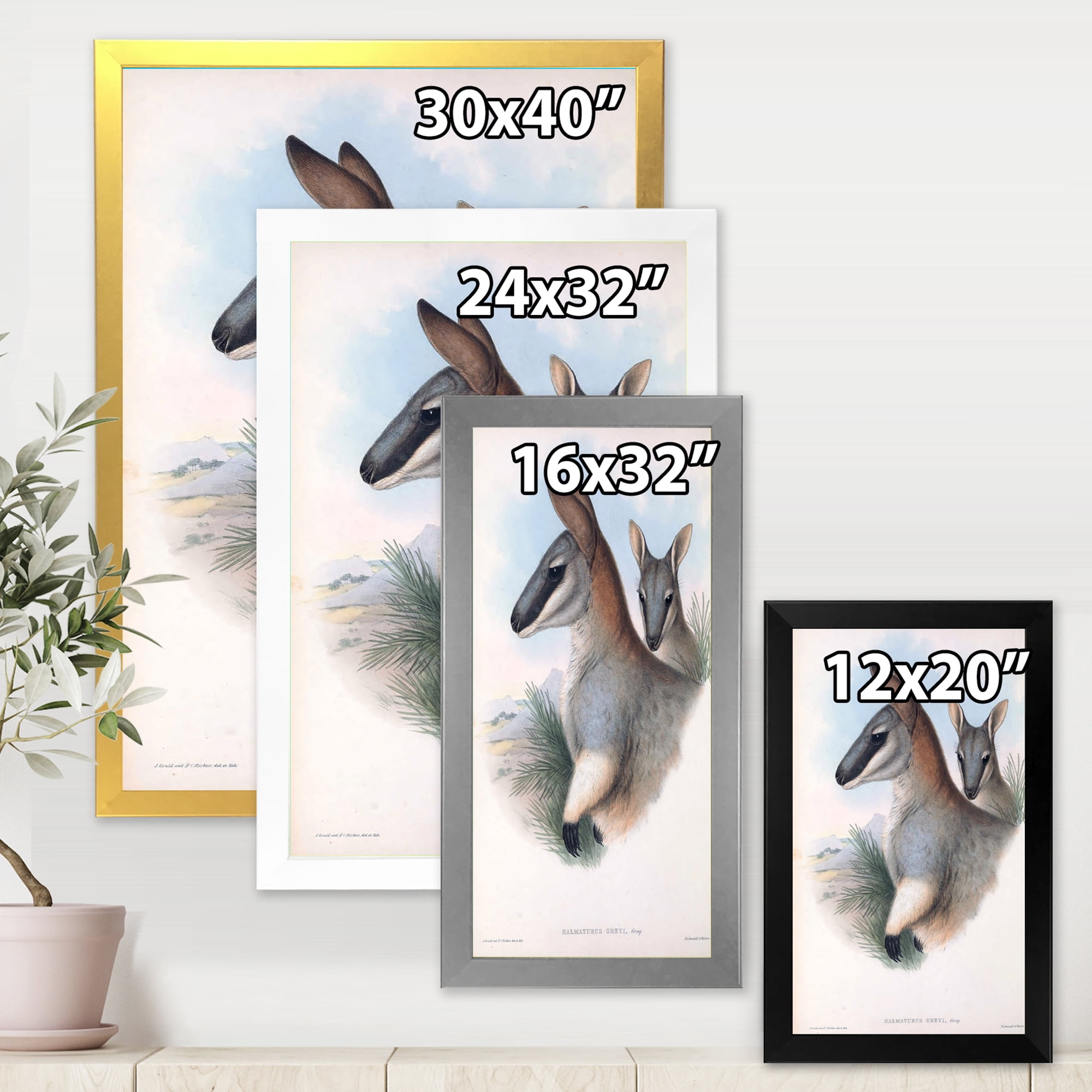 Designart 'Ancient Kangaroo' Farmhouse Framed Art Print