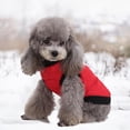 thumbnail image 1 of Reheyre Waterproof Zipped Winter Jacket - Windbreaker Fabric Coat for Puppy Pet Clothes, 1 of 8