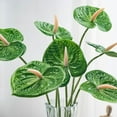 thumbnail image 5 of Artificial Anthurium Flower 17.7 Inch – Real Touch Faux Stems for Home Décor, Wedding Centerpieces, Party Decorations, Bathroom Decor, 5 of 6