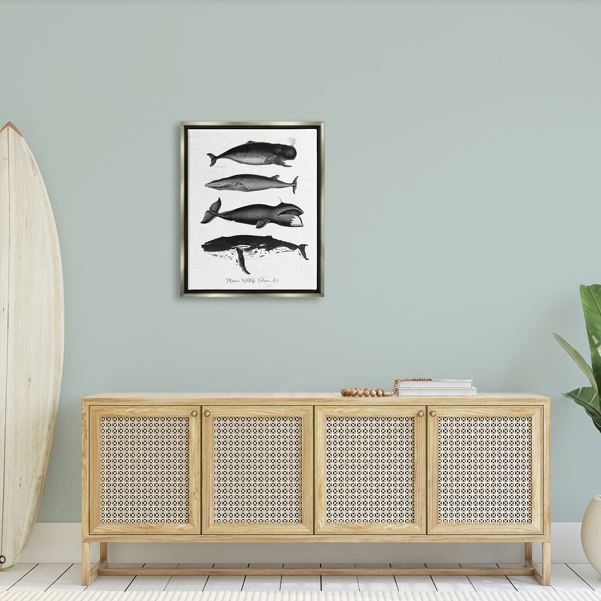 Stupell Industries Marine Wildlife Whales Drawings Diagram Weathered Pattern Graphic Art Luster Gray Floating Framed Canvas Print Wall Art, Design by Lettered and Lined