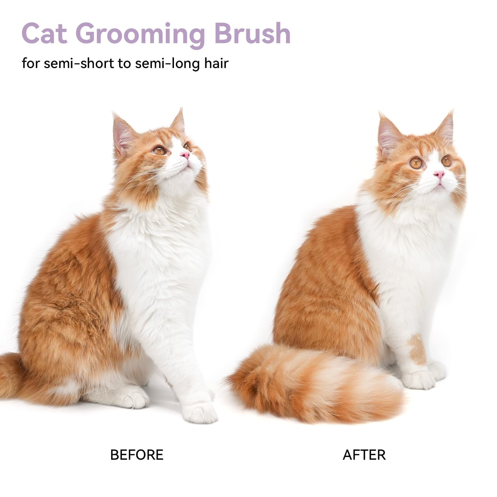 Cat Brush for Shedding, Cat Brushes for Indoor Cats, Cat Brush for Long or Short Haired Cats, Cat Grooming Brush Cat Comb for Kitten Rabbit Massage Removes Loose Fur