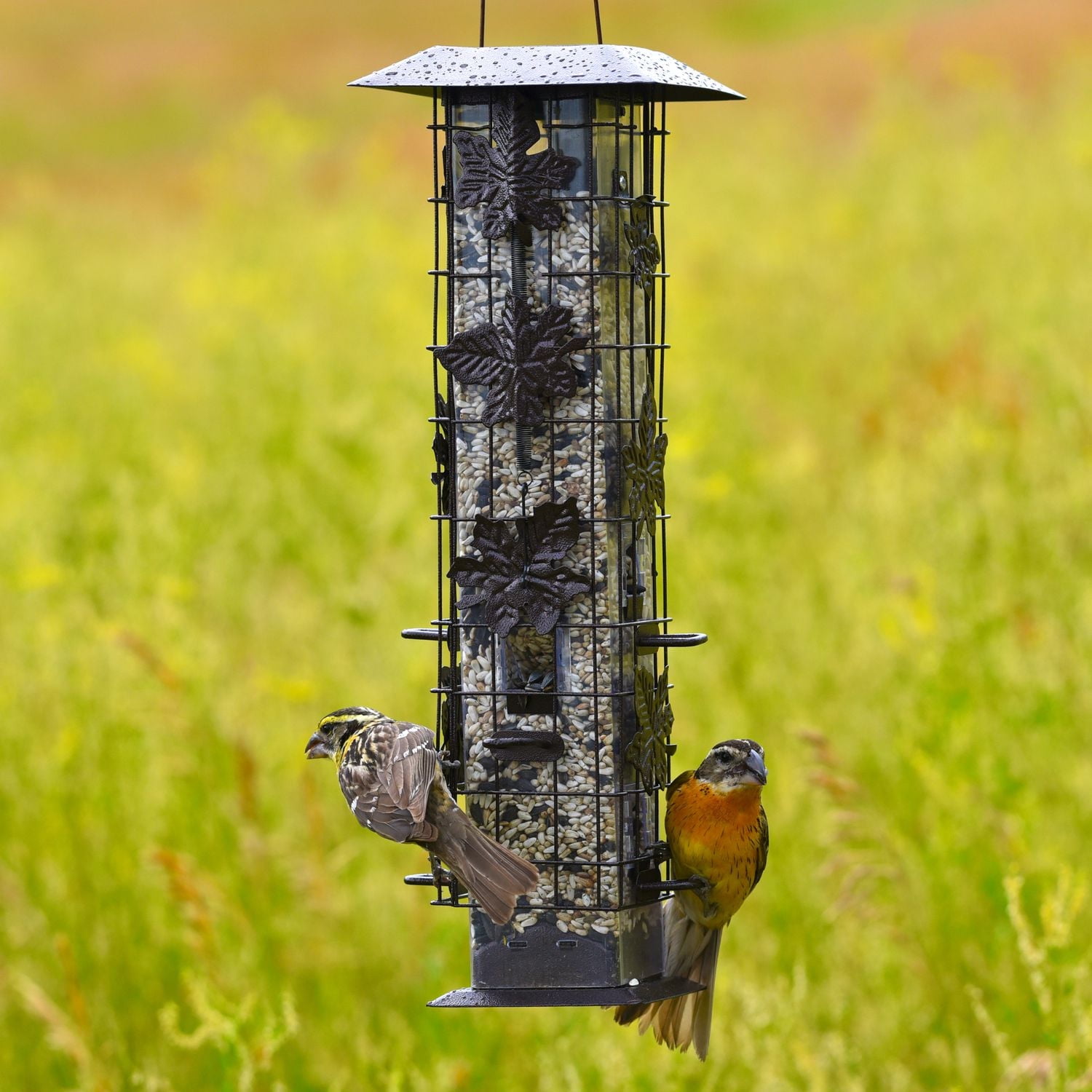 Perky-Pet Squirrel-Be-Gone Wild Bird Feeder