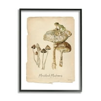 Stupell Industries Marshland Mushrooms & Frog Botanical & Floral Painting Black Framed Art Print Wall Art, 11 x 14