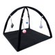 thumbnail image 4 of Tienda plegable para gatitos, alfombra lavable para mascotas, ayuda a los gatos a hacer ejercicio, estera de juego, centro de actividades para gatos, Negro, 4 of 10