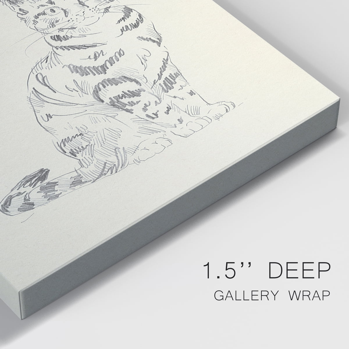 House Cat IV Premium Gallery Wrapped Canvas - Ready to Hang - 18 x 27 Each