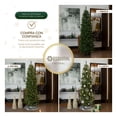 thumbnail image 4 of Árbol de Navidad Pino Canadiense Tipo Lápiz, Esquimal (Verde, 1.80 m), 4 of 6