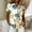 Orange, variant on Bbyeadc Hawaiian Shirts for Women Short Sleeve Collared Shirts Button Down Breathable Top Fashion Loose Beach Travel Top,White(S)