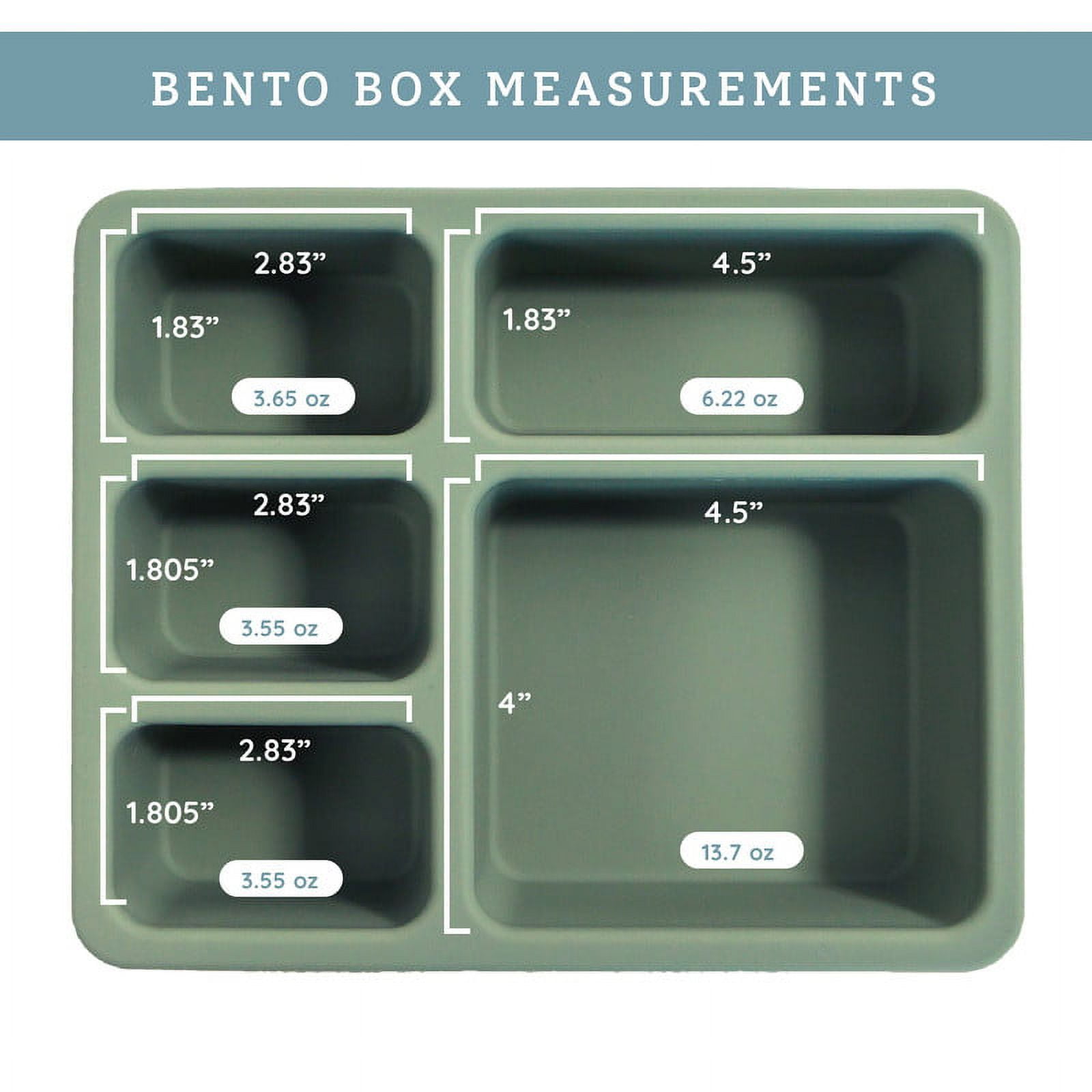 Austin Baby Co Bento Lunch Box for Toddler and Kids – Silicone Lunch Container with 5 Leak-Proof Compartments – Food-Safe Materials, Sturdy, Dishwasher Safe, and BPA Free (Sage Green)