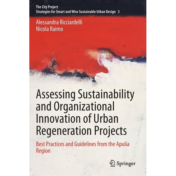 The City Project Assessing Sustainability and Organizational Innovation of Urban Regeneration Projects: Best Practices and Guidelines fro, Book 3, (Hardcover)