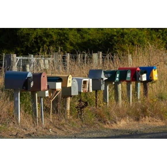 Rural Letterboxes, Otago Peninsula, Dunedin, South Island, New Zealand Poster Print by David Wall (26 x 18)