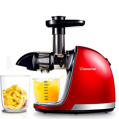 AMZCHEF Slow JuicerProfessional Cold Press Juicer Extractor MachineQuiet Motor Reverse Function