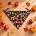 thumbnail image 4 of Fall Dog Bandana with Autumn Pumpkin Print, 1 Piece, Black Tie-On Neck Scarf for Small Dogs and Cats, Pet Bib, 4 of 7
